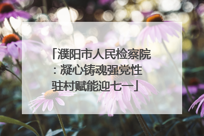 濮阳市人民检察院：凝心铸魂强党性 驻村赋能迎七一